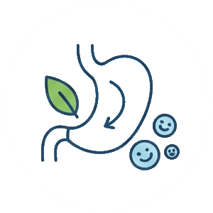 Здоровое пищеварение